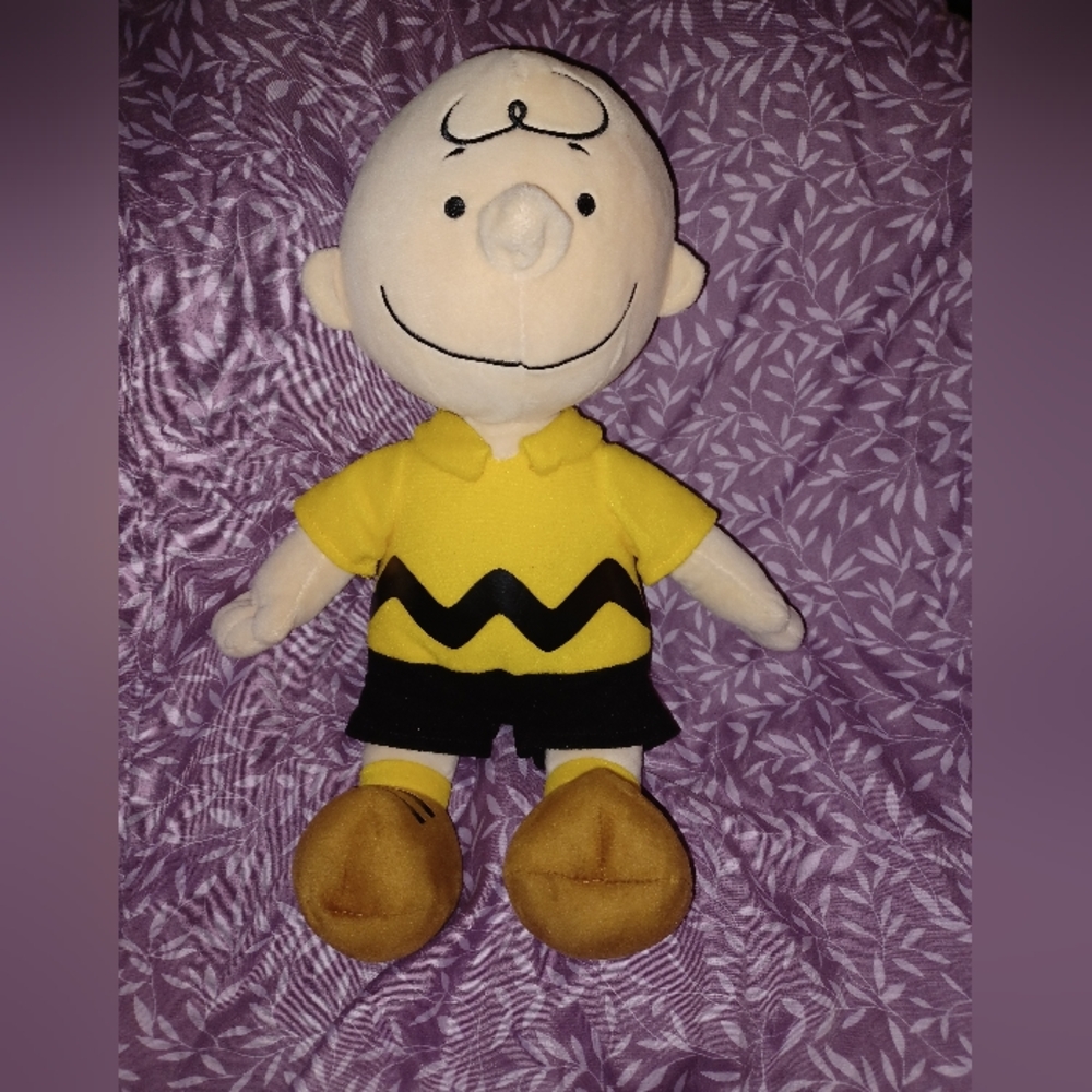 Kohls cares 2019 Charlie Brown 14" in plush (070824B)
